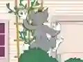 Lojë Tom und Jerry: Wasserbomben Wahnsinn në internet