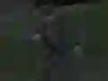 Lojë Soviet Sniper në internet