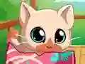 Lojë My Pocket Pets Kitty Cat në internet