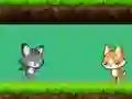 Lojë Cat vs Dog në internet