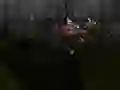 Lojë Zombie Survival në internet
