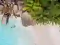 Lojë Seychelles Beach Jigsaw Puzzle në internet