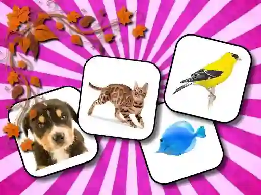 Lojë Animals Memory në internet