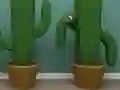 Lojë Cactus Cube në internet