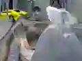Lojë Z Day Shootout në internet