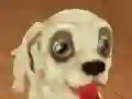 Lojë Pet Run Adventure në internet