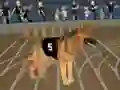 Lojë Crazy Dog Racing Fever në internet