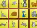 Lojë Cats Findiff në internet