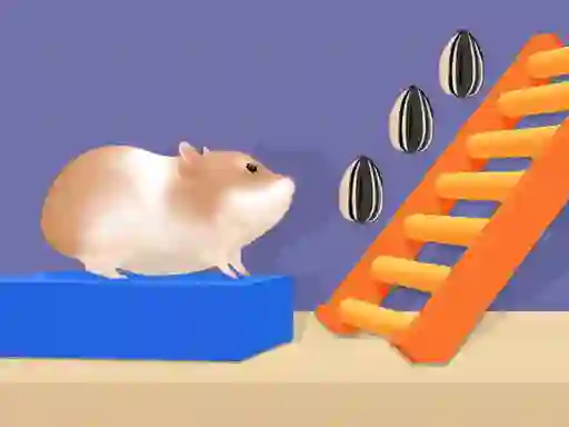 Lojë Hamster Stack Maze në internet