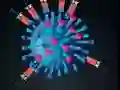 Lojë Kill The Coronavirus në internet