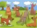 Lojë Animals Differences në internet