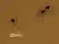 Lojë Save the crumb në internet