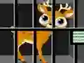 Lojë Animals Rescue në internet