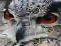 Lojë Wild owl Jigsaw në internet