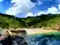 Lojë Parrot House Escape në internet