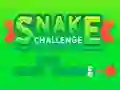 Lojë Snake Challenge në internet