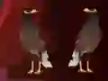 Lojë Peikin Duck Escape në internet
