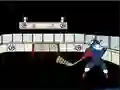 Lojë Capitaine Cage Hockey në internet