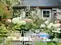 Lojë Flower Garden në internet