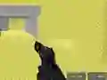 Lojë Pixel Combat Multiplayer në internet