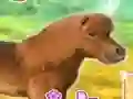 Lojë My Dear Pony në internet