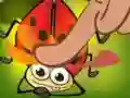 Lojë Insect Cush në internet