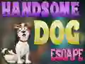 Lojë Handsome Dog Escape në internet