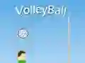 Lojë VolleyBall në internet