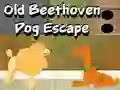 Lojë Old Beethoven Dog Escape në internet