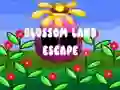 Lojë Blossom Land Escape në internet