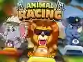 Lojë Animal Racing në internet