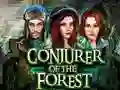 Lojë Conjurer Of The Forest në internet