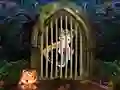 Lojë Cute Pirate Girl Escape në internet