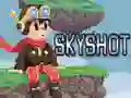 Lojë Skyshot në internet