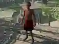 Lojë Black Apocalypse në internet