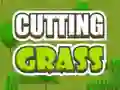 Lojë Cutting Grass në internet