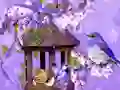 Lojë Wonderful Humming Bird Land Escape në internet