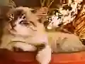 Lojë Game of 15 në internet