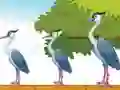 Lojë Violet Bird Escape në internet