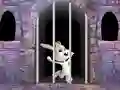 Lojë Victory Rabbit Escape në internet