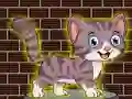 Lojë Loveable Small Cat Escape në internet