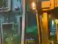Lojë Playful Tortoise Escape në internet