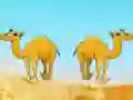 Lojë Desert Gold Rush The Great Treasure Escape në internet