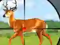 Lojë Wild Hunt Hunting Games 3D në internet