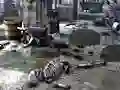 Lojë Friends Rescue From Skeleton në internet