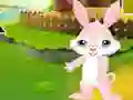 Lojë Find The Buddy Rabbit në internet