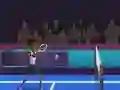 Lojë Badminton Brawl në internet