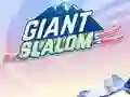 Lojë Giant Slalom në internet