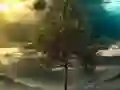 Lojë Illusion Jungle Fairy Escape në internet