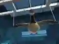 Lojë Goose Museum në internet
